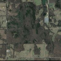 Deer Hunting Land, 220 acres near Lynn, Arkansas, Bunkhouse with Bathroom and shower included.