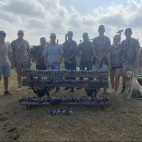 Texas dove hunt - day hunt- 100ac Taylor,TX and 3,000ac Thrall, TX