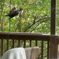 Img 8577
