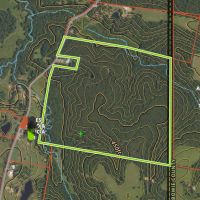 177 acres NE of Avery in Red River County - $5200
