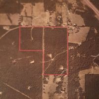 120 acres SE of Texarkana - $3600