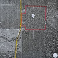 37 acres NE of McNab in Hempstead Co. - $1100