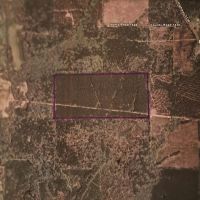 80 acres SE of Columbus - $2400