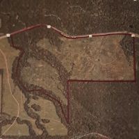 236 acres in Sevier Co. - $5900