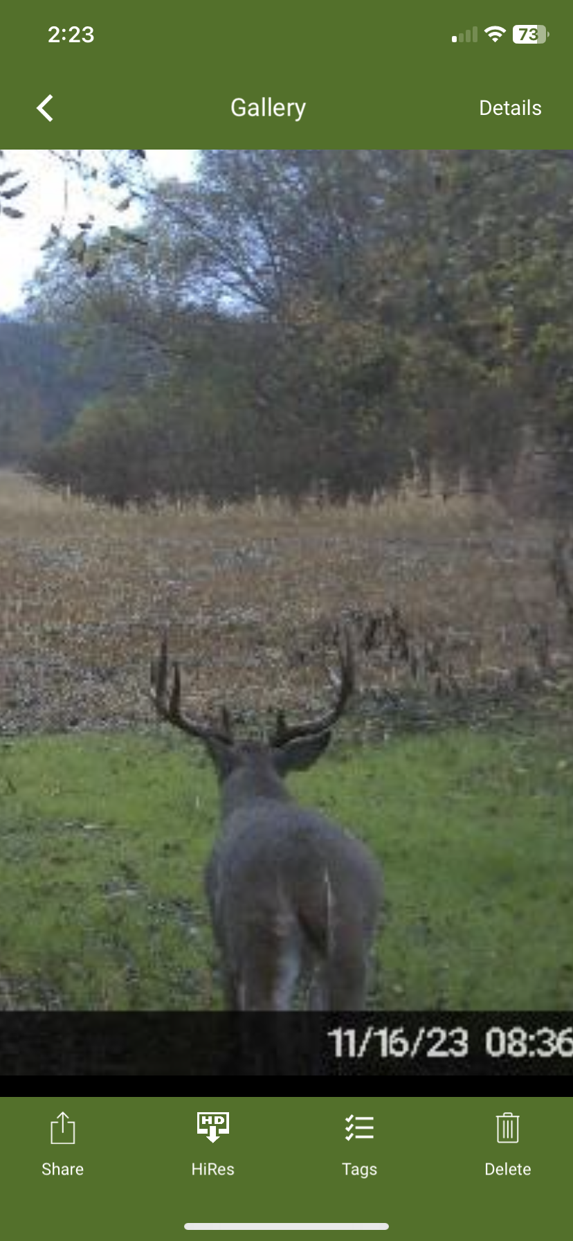 Img 6426 featured image