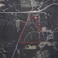 299.85 acres near Domino - $9000