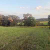 80 acres