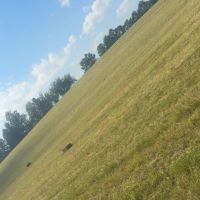 43 acres