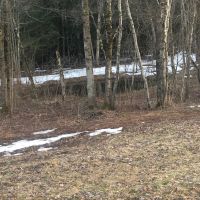 Img 1852