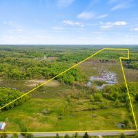 60 acres Forest and Wetland