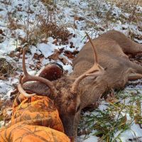 Buck 1