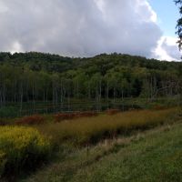 Beautiful, prime, hunting property 354 acre last minute exclusive deal!!