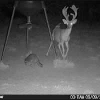 South Texas Hunting