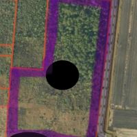30 ACRE HUNTING LEASE
