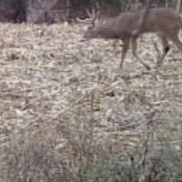 60 acres in Warren county ohio