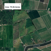 Beautiful 75± Acre Delta Farm – Private Waterfowl Hunting Lease