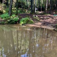 Very private 62 areas adjoining 800,000 areas of National Forest