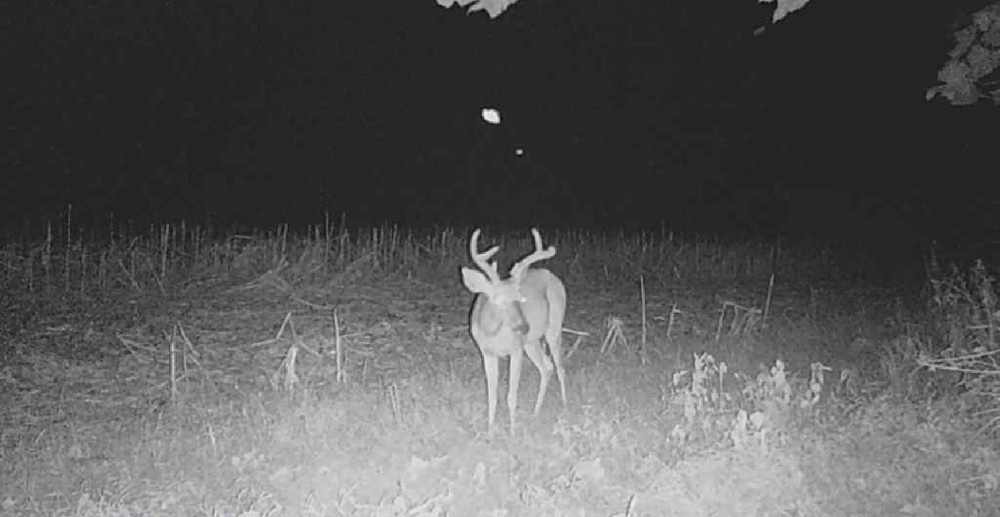 Img 4519 featured image