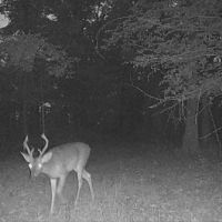 Img 4521