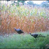 Img 4523