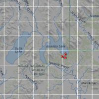 160 acres of prime Coastal Brown / Grizzly Bears in the heart of Bristol Bay Alaska.