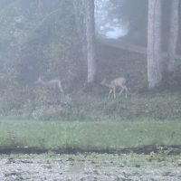 Img 3586