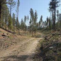 Road-bkaicwp-