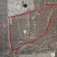 20241005 225051
