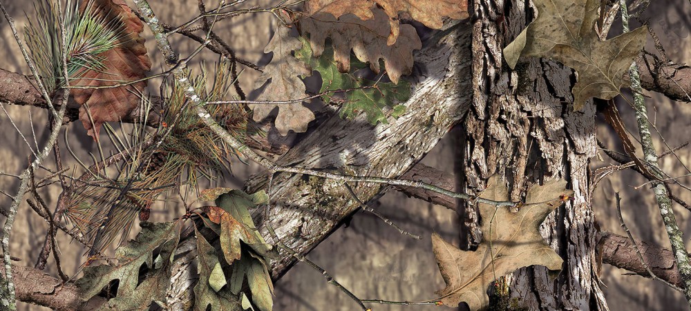 Camo-hotspots featured image