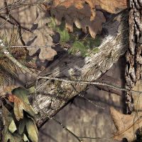 Camo-hotspots
