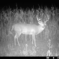 Beautiful 388 Acres in Kansas Unit 10