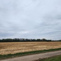 40 ac goose pit lease