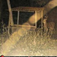 44 Acres in Ohio