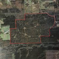 185 acres NE of Kirby - $5500