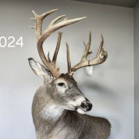 20251103 142411 (1)