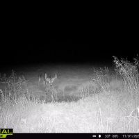 Exciting 188 ac Secluded Lease