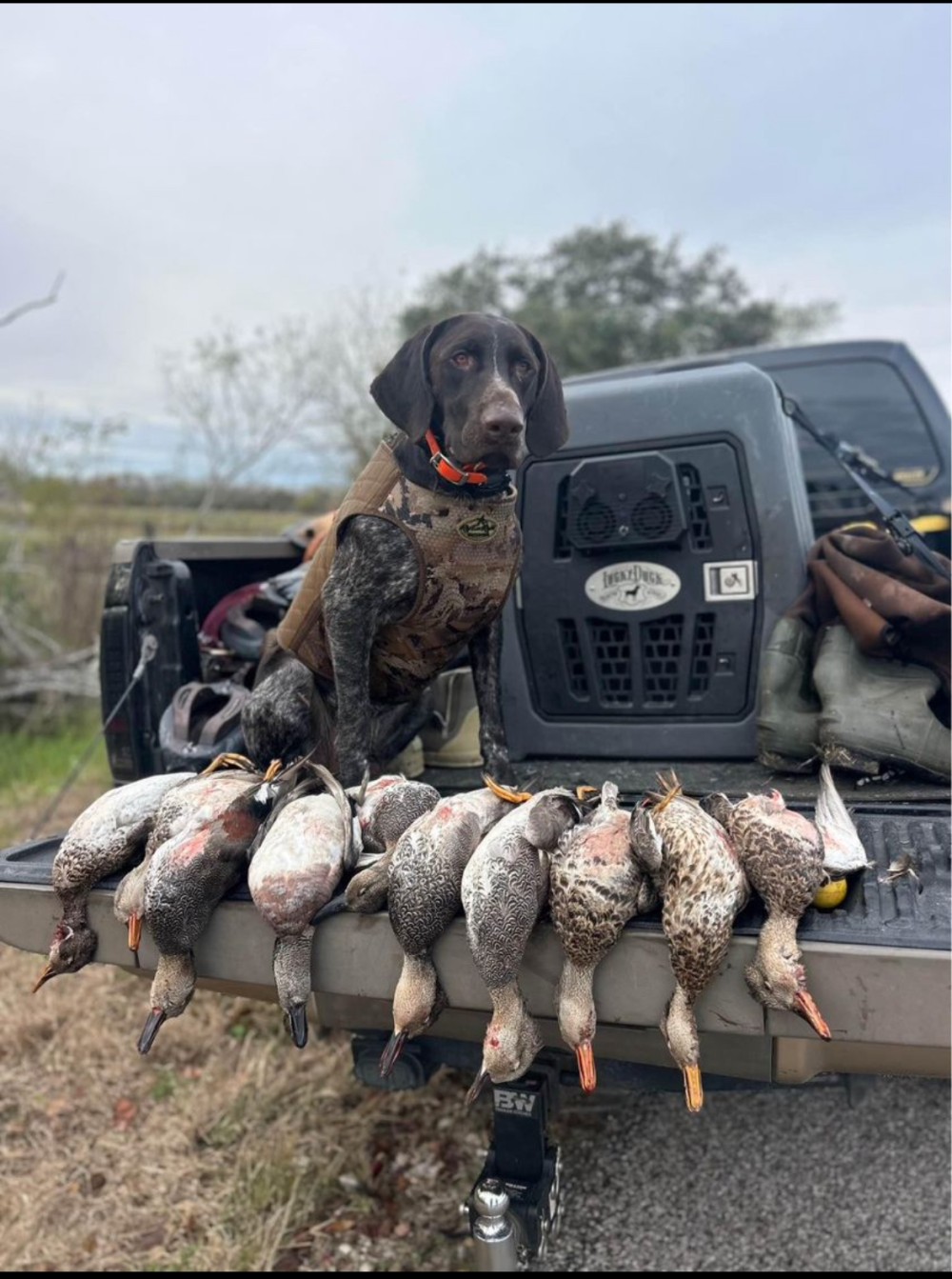 Img 4848 featured image