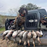 Danbury duck hunts