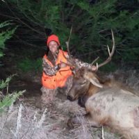 Renes 2015 elk-10