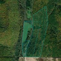 167 acres East of Elmira
