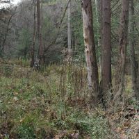 Pano 20171109 134046