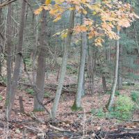 Pano 20171109 134121