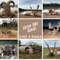 Axis, Fallow, Aoudad, Blackbuck, Oryx & More!!!!