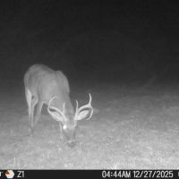 Hunting bunk located on 100 acres