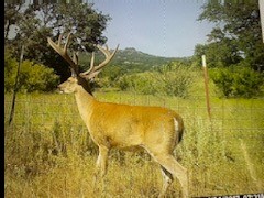 Img 0704 featured image