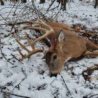 Perfect Spot for the Solo Hunter - Licking County, Ohio Hunting