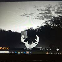 2000ac high fence Webb county MLD, hook ups, looking for 2 hunters to fill 4.