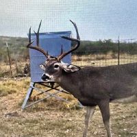 3043 Acres in Edwards County Texas