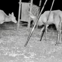 Image000001