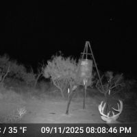 500A more or less, hunting lease with blinds, etc.